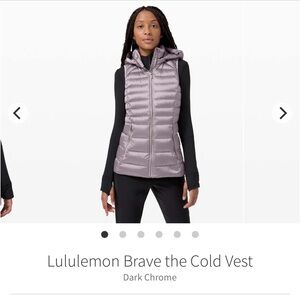 Brave the cold vest